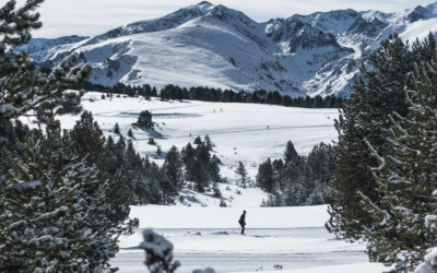 Conseil Départemental de l&rsquo;Ariège